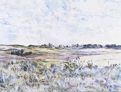 Dorothy Knowles - Fields in Summer (1969)