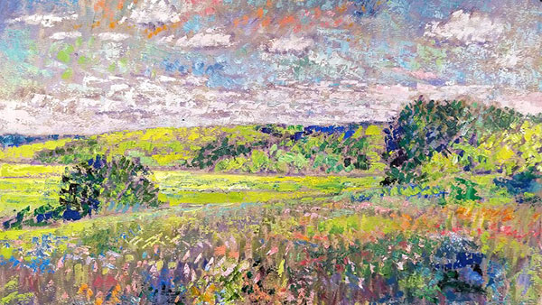 Craig Erikson - Meadow Green (2017)