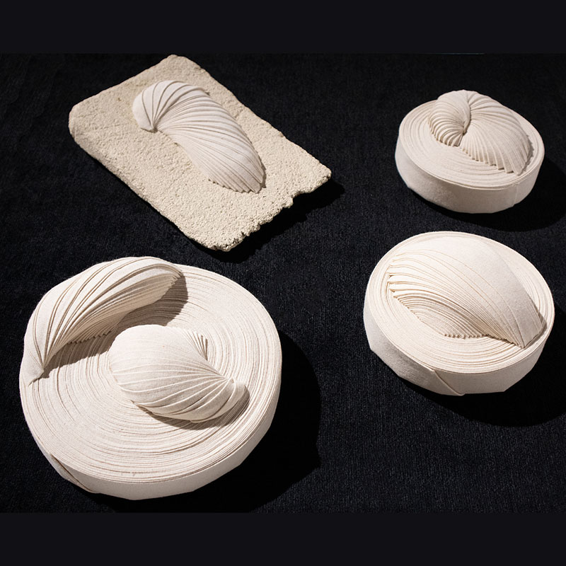 Hanna Yokozawa Farquharson - Seashells and Fossils
