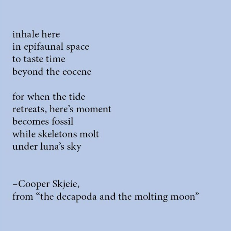 Cooper Skjeie - Poem excerpt 'the decapoda and the molting moon'