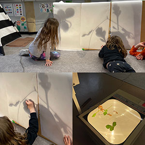 Bulyea installation